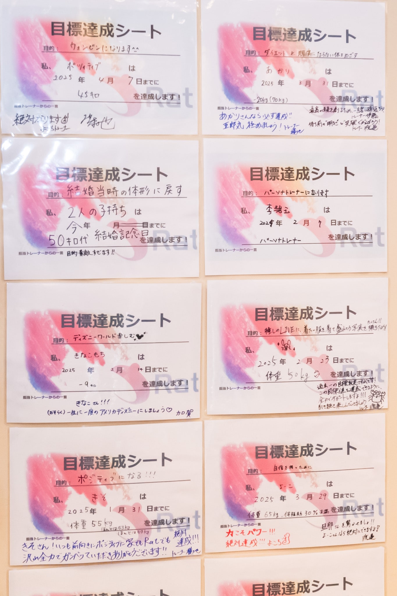 ギャラリーイメージ